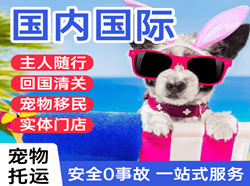 徐州观音航空快运国际宠物托运 【国